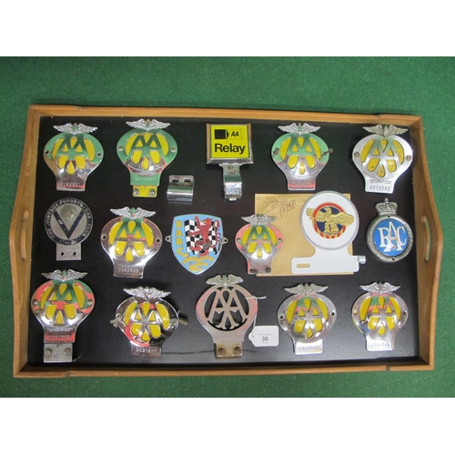 36 - Sixteen car badges to include: BARC, Vintage Sports Car Club, RAC, an American Honourable Discharge ... 