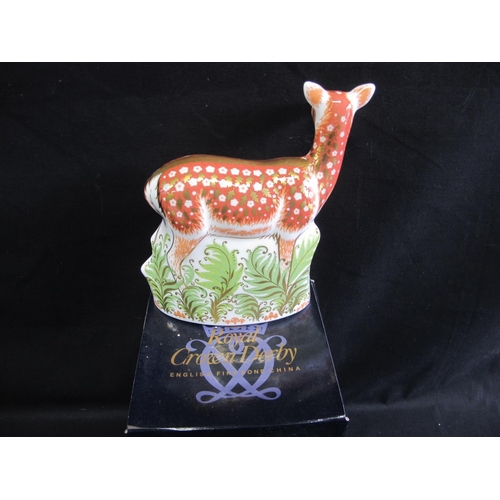 212 - Royal Crown Derby paperweight of a Fallow Deer with gold stopper, complete with box - 15cm tall