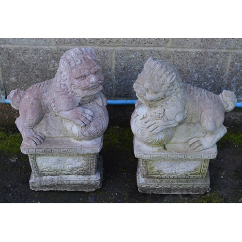 165 - Pair of Dogs of Foe statues - 33cm x 52cm tall