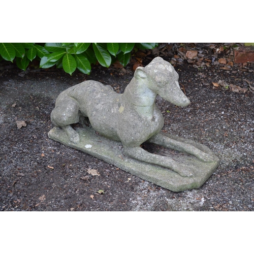 6 - 20th century statue of a recumbent Greyhound - 64cm long