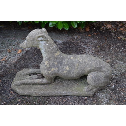 6 - 20th century statue of a recumbent Greyhound - 64cm long