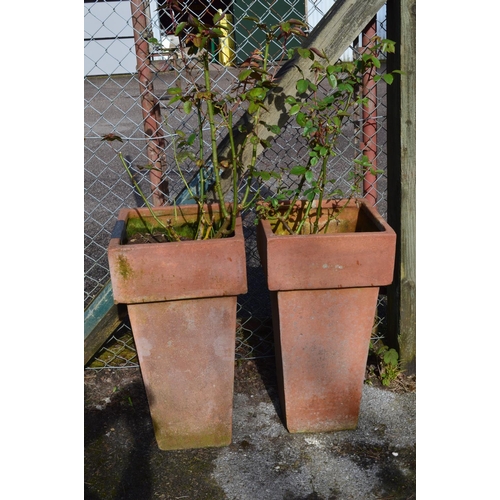 71 - Pair of tall square terracotta style plant pots potted with roses - 37cm x 71cm tall