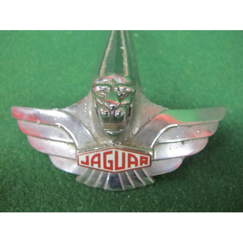 24 - 1950's chromed Jaguar Mk VII bonnet emblem with enamel badge - 11