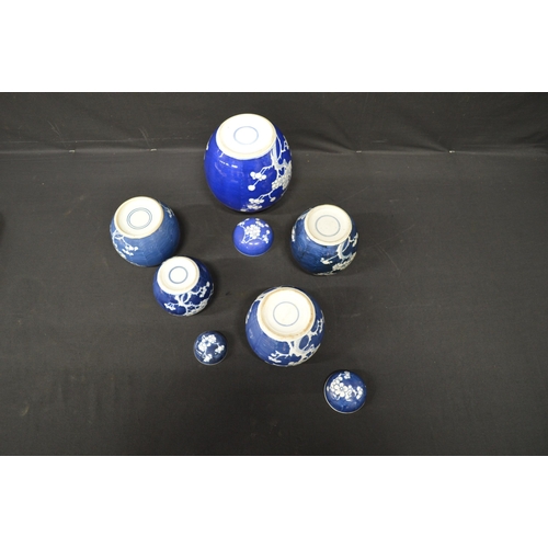 114 - Group of five blue and white prunes or ginger jars - tallest 20.5cm high