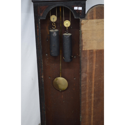 406 - 19th century stained and painted longcase clock by William Hayler of Chatham, brass dia with Arabic ... 