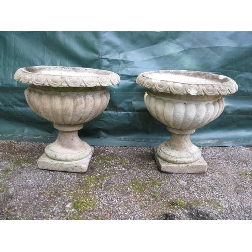 Lot 24        