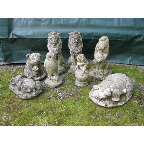 Lot 55        