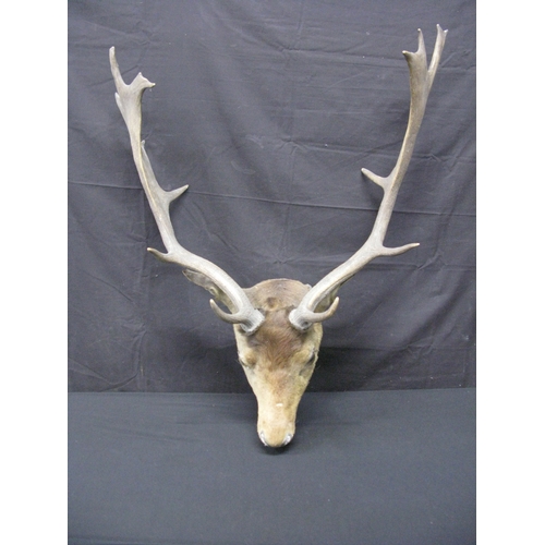 Lot 143       
