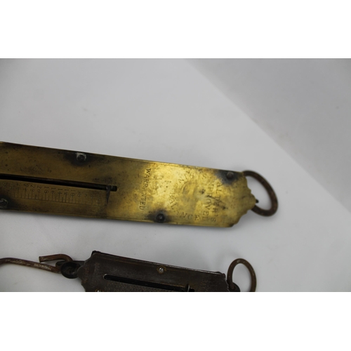 77 - Two Antique Salter's Brass Spring Balance Pocket Scales , 32.5cm and 17cm