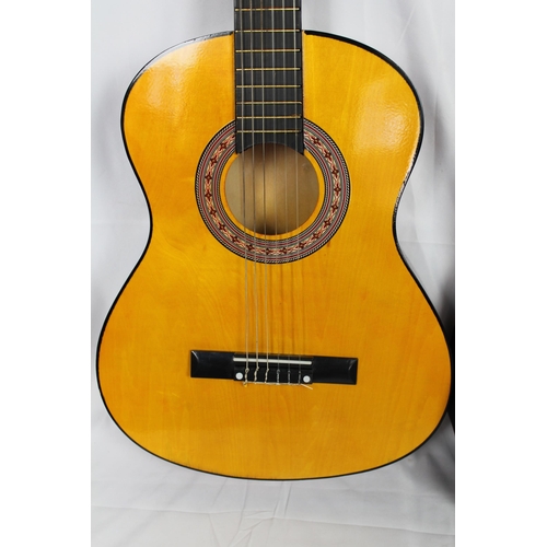 313 - Martin Smith Acoustic Guitar, Medium Size with Case