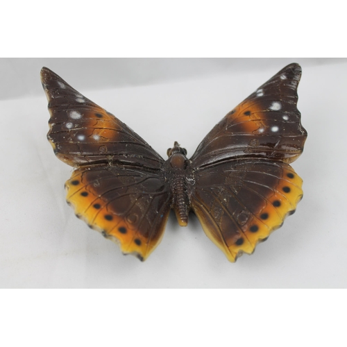 392 - Large Heavy Butterfly , Glossy, Wallhanger, 16 X 16 cm