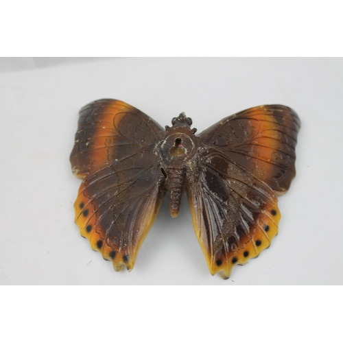 392 - Large Heavy Butterfly , Glossy, Wallhanger, 16 X 16 cm