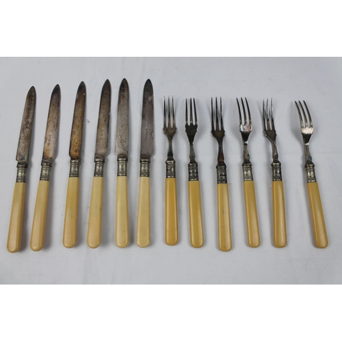 52 - Vintage Set of Cutlery, Bone Handles , Silver Plated