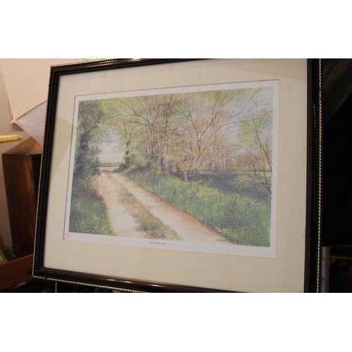 243 - Dennis Morley 587/850 Print in Frame and glass, 550mm x440mm,