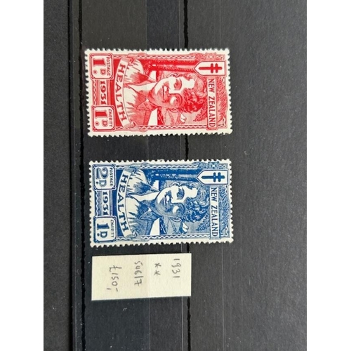 Lot 486       