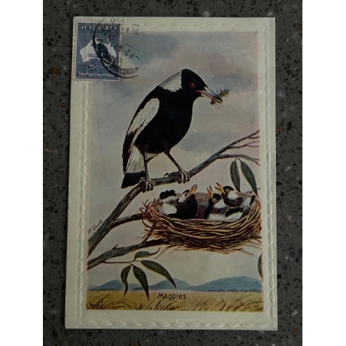 209 - Australia - Magpie postcard with 2 1/2d blue ROO SG 4 nice used on front, very attractive. (S)