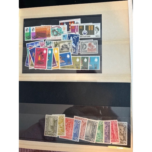 Lot 21        