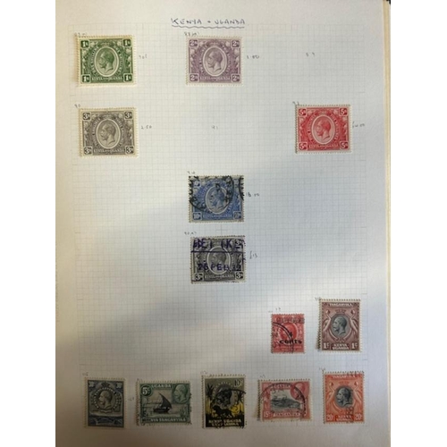 Lot 31        