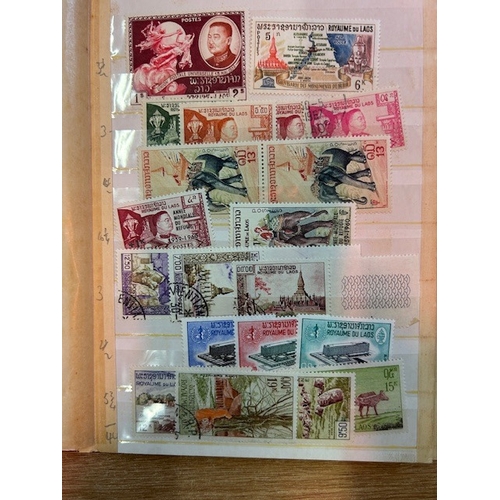 Lot 40        