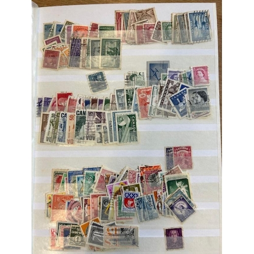 Lot 23        