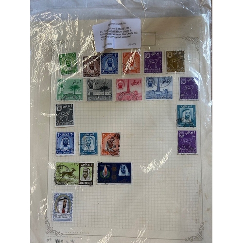 Lot 51        