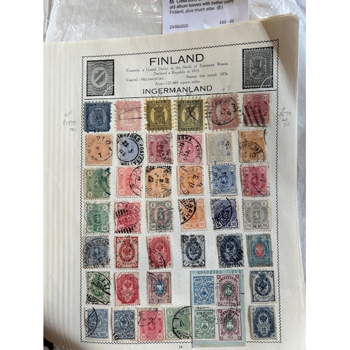 Lot 55        