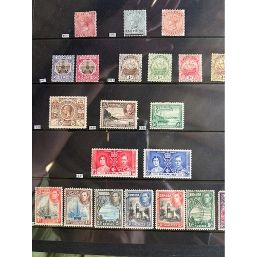 Lot 61        