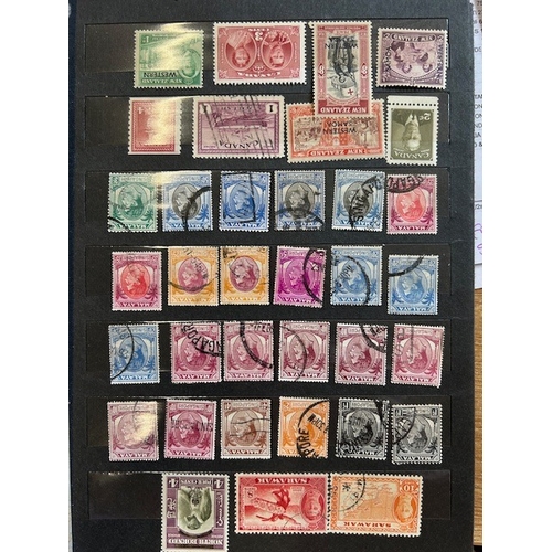 Lot 7         