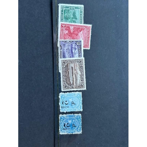 Lot 135       