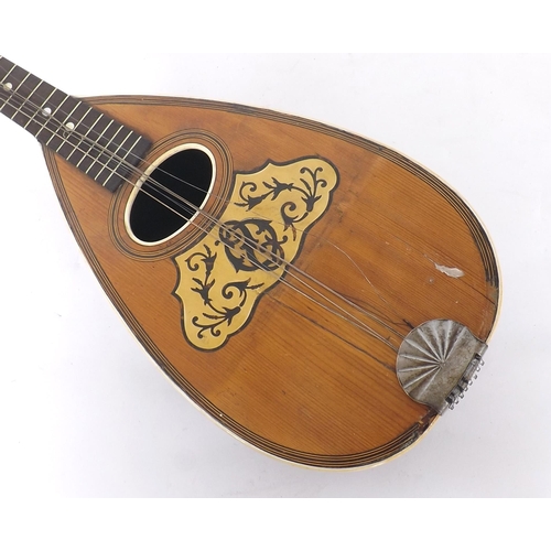 1214 - Twelve string bowl back mandriola, unlabelled, case