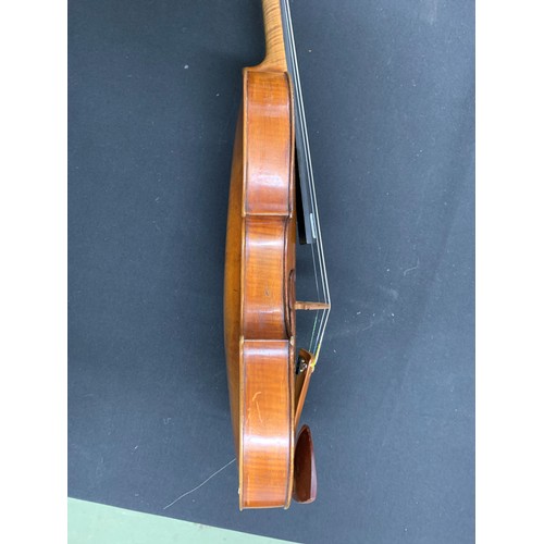 2455 - Interesting early composite violin labelled Jacobus Stainer in Absom..., the two piece back of faint... 