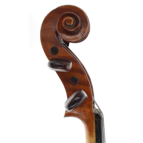 2406 - French violin circa 1910, unlabelled, the two piece back of medium curl with similar wood to the sid... 