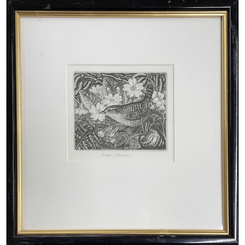 791 - Robin Tanner (1904-1988) -'Wren and primroses', signed in pencil to the margin, black and white etch... 