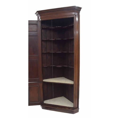 908 - Tall 19th century mahogany standing corner cupboard, with a carved dentil cornice over a long and sh... 