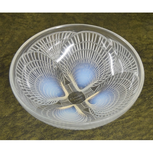 631 - Lalique 'Coquille' pattern opalescent glass circular bowl, signature to the underside also numbered ... 