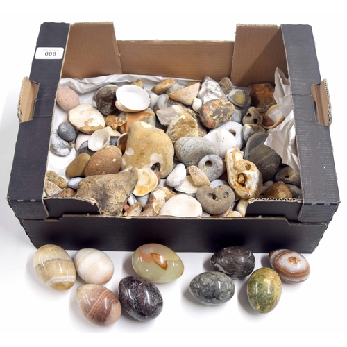 606 - Collection of polished onyx eggs; together with a collection of seashells, coastal pebbles etc.... 