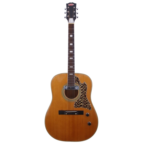 252 - Sunbeam electro acoustic guitar, gig bag