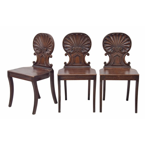 875 - Three Regency scallop shell carved mahogany hall chairs in the manner of Gillows, 17.5