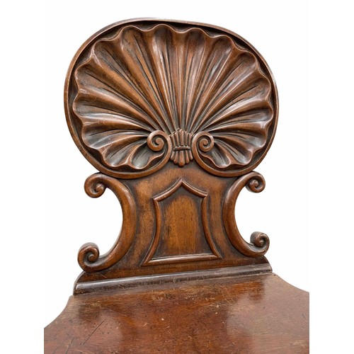 875 - Three Regency scallop shell carved mahogany hall chairs in the manner of Gillows, 17.5