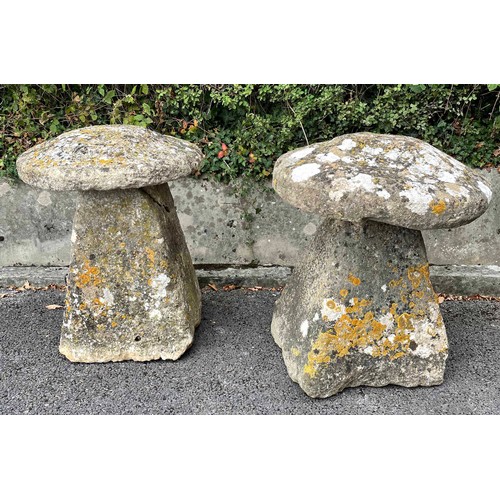 841 - Two old weathered staddle stones, with mushroom tops, 28