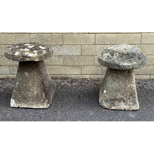 842 - Two old weathered staddle stones, with mushroom tops, 27