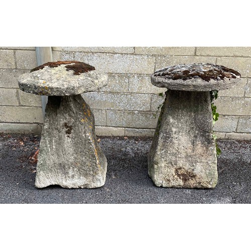 843 - Two old weathered staddle stones, with mushroom tops, 28