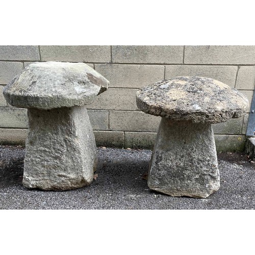 844 - Two weathered staddle stones, with mushroom tops, tallest complete 25