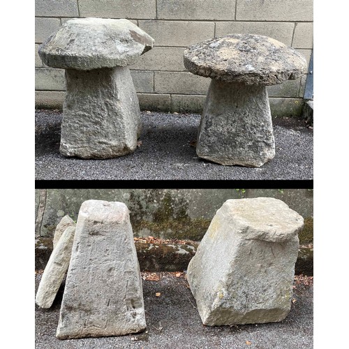 844 - Two weathered staddle stones, with mushroom tops, tallest complete 25