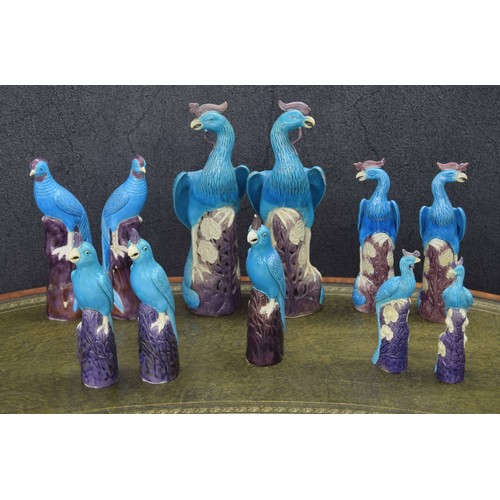 757 - Selection of Blue and Aubergine glaze parrots and Birds of Paradise, tallest 15