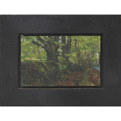 737 - English School (20th century) - Woodland scene, signed 