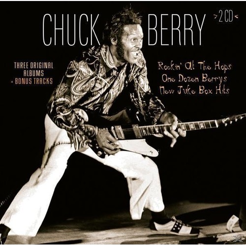 419 - Chuck Berry & Terry Clemson - 1964 Gibson Firebird V electric guitar, made in USA, Body: black r... 
