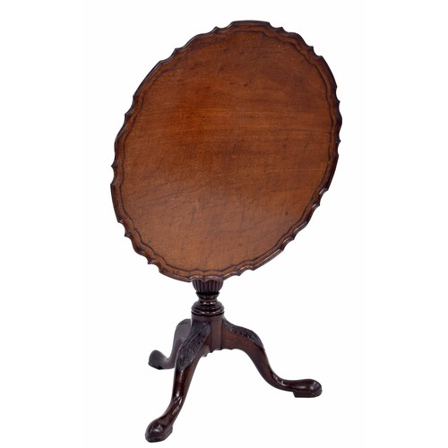 557 - George III mahogany circular tripod table, the tilt-top with a piecrust border upon a turned and ree... 