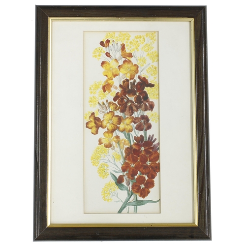 887 - Cambodian School (20th/21st century)- Temple in a jungle, indistinctly signed and inscribed, also in... 