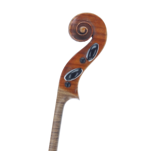 2432 - Violin by and labelled Carlo Storioni, Cremonesis, Faciebat, 1894, the two piece back of broad curl ... 